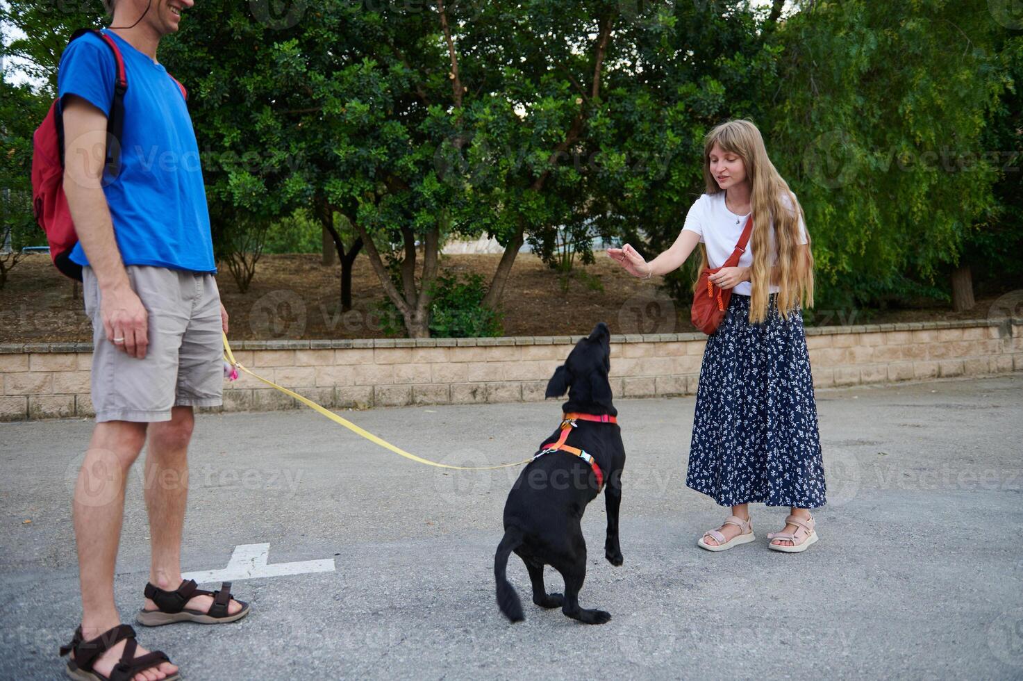 Casual Meeting with a Dog and Its Owners Outdoors photo