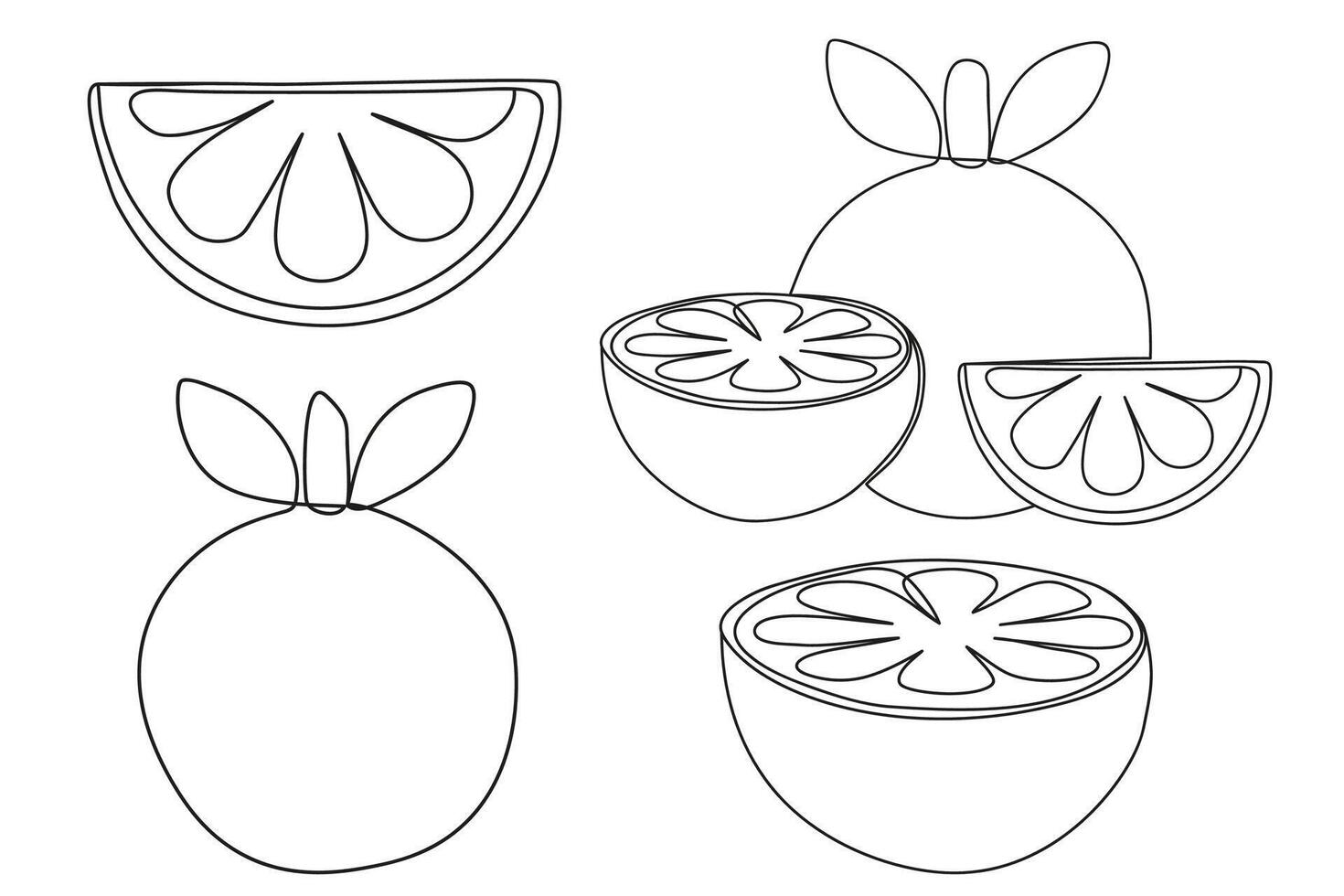 Contour Whole orange with leaves, orange slice and cut orange fruit. Organic fruits for juice or vitamin C healthy food vector