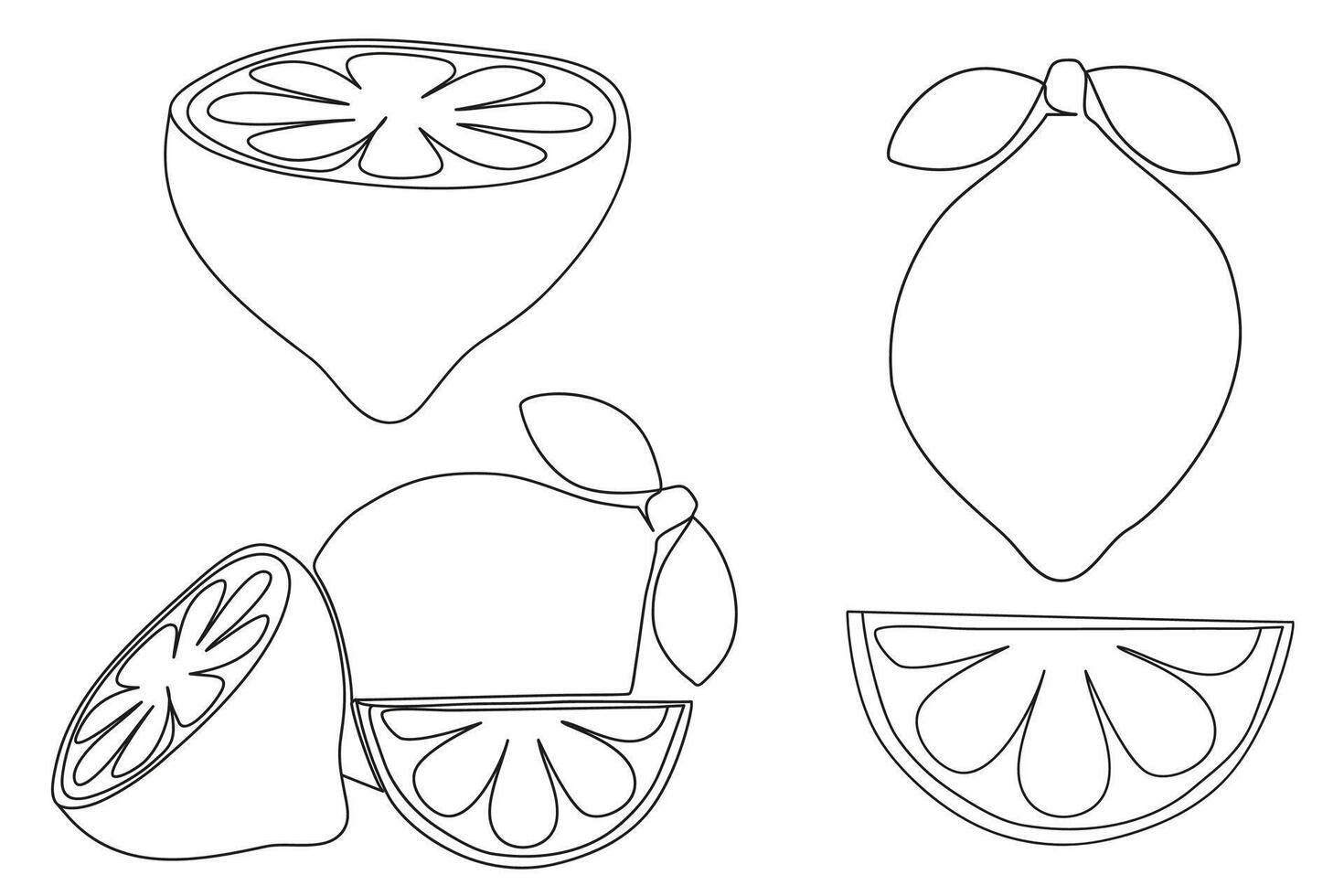Contour Lemon set. Whole lemon, lemon slice, and cut lemon. Flat style illustration for any design vector