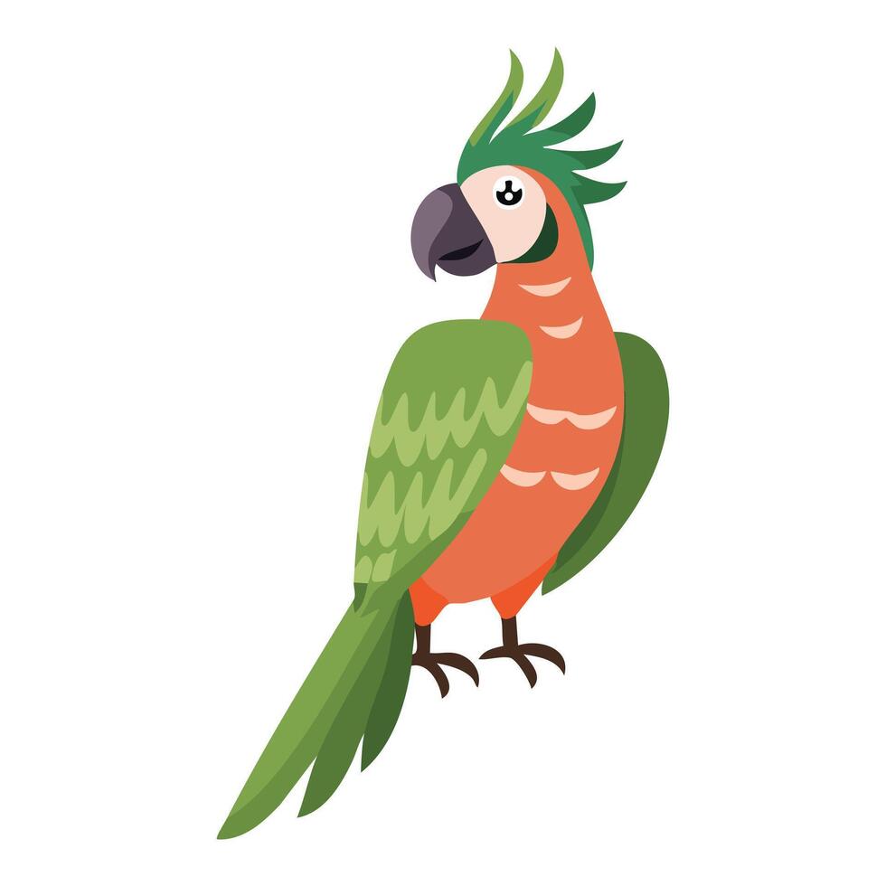 Colorful parrot bird. Parrot on branch posters, children's books illustrating vector