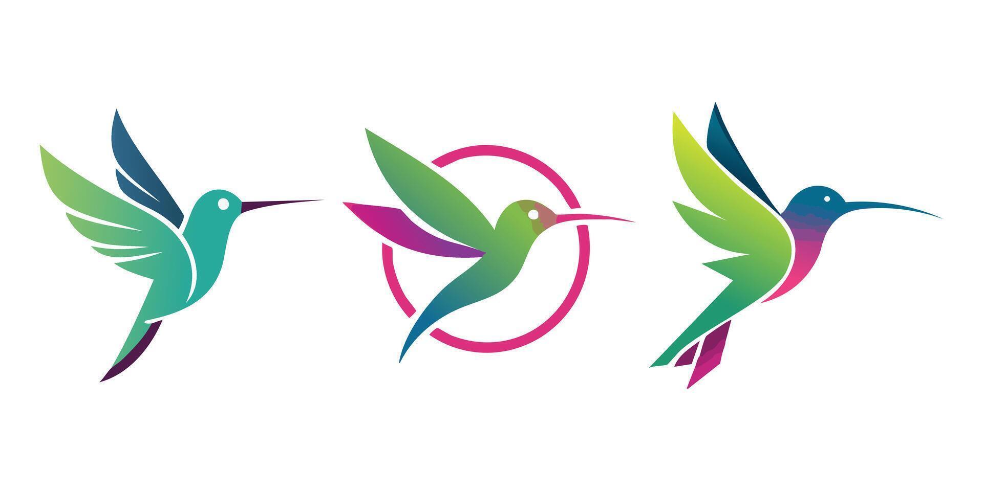 Stylized Hummingbird Illustration Colorful of a Flying Bird in Minimal Modern Style vector