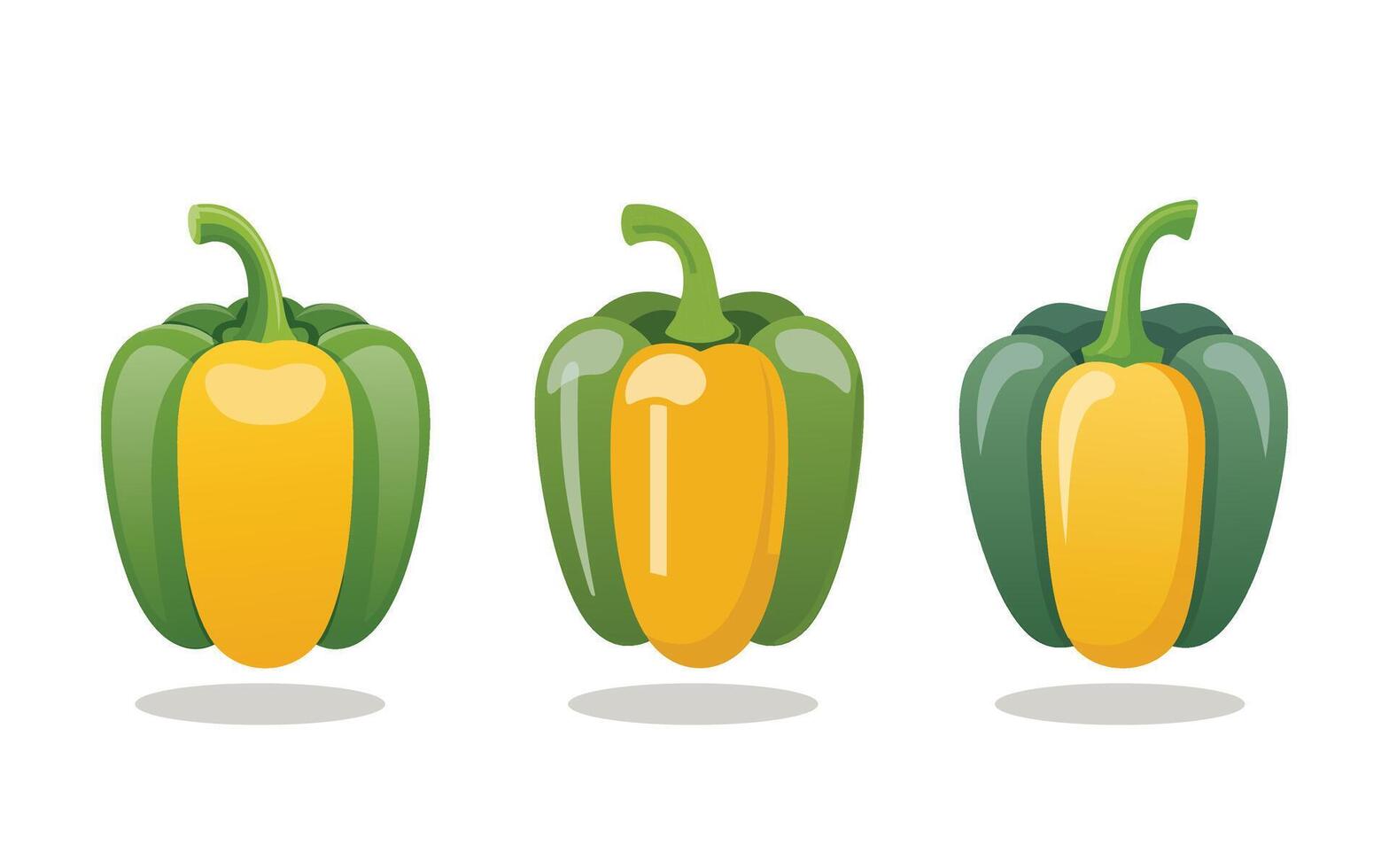 Multicolored bell peppers set of illustrations design vector