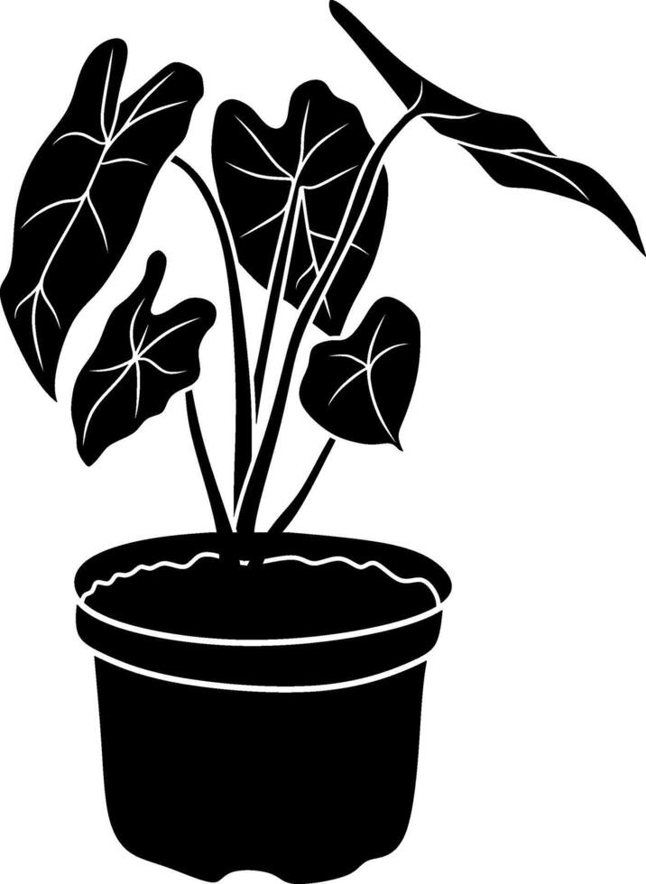 Silhouette of Tropical Indoor Plant vector