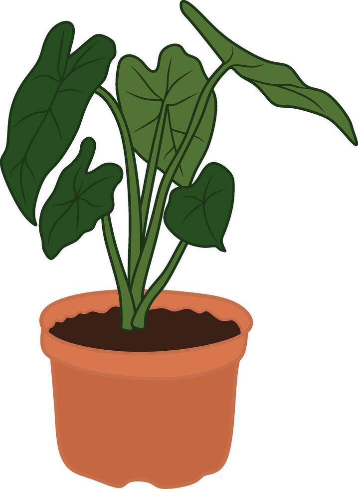 Tropical Indoor Plant with Large Green Leaves vector