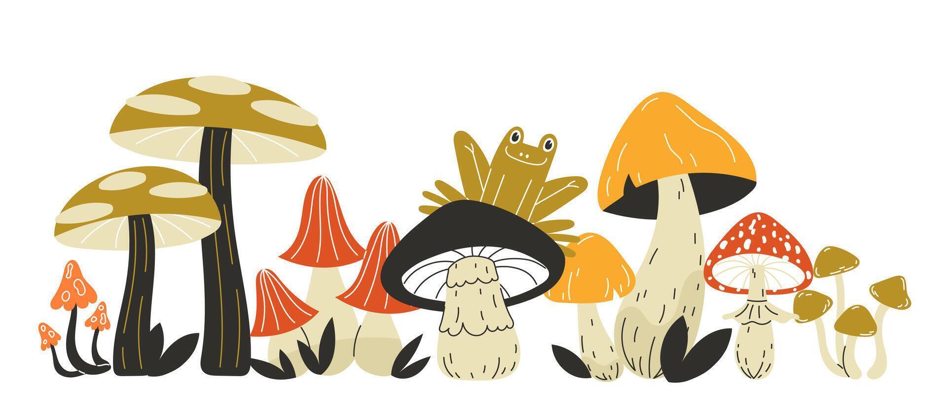 Colorful mushrooms with a frog vector