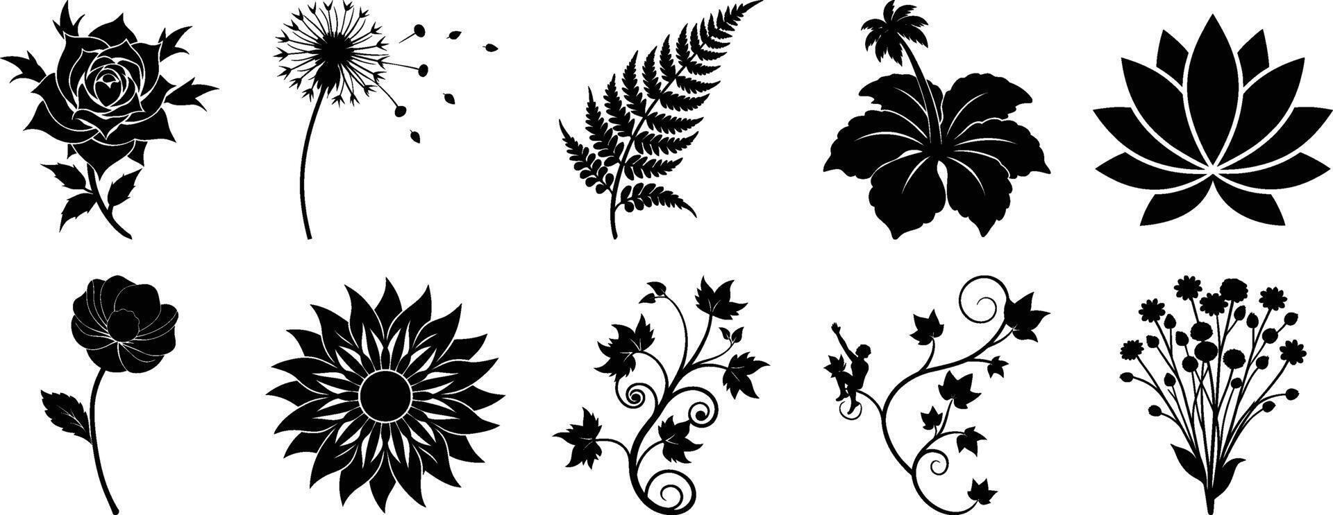 Elegant floral botanical elements collection silhouette vector