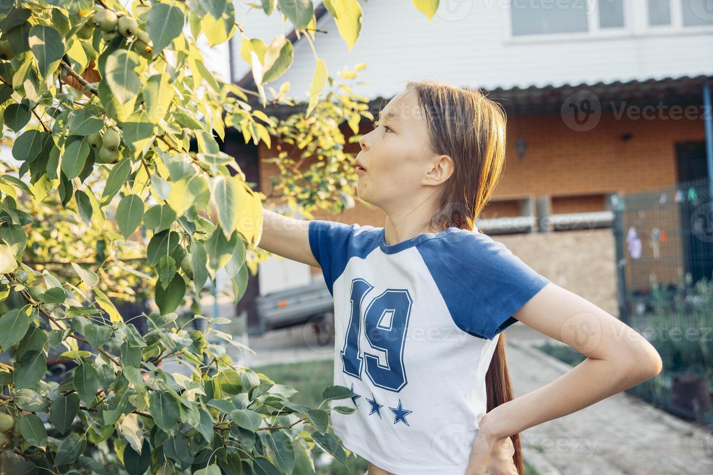 Asian Metis teen girl picking leaves from tree in backyard garden during sunny evening with curious expression near suburban house and green foliage, family lifestyle, gardening blog photo