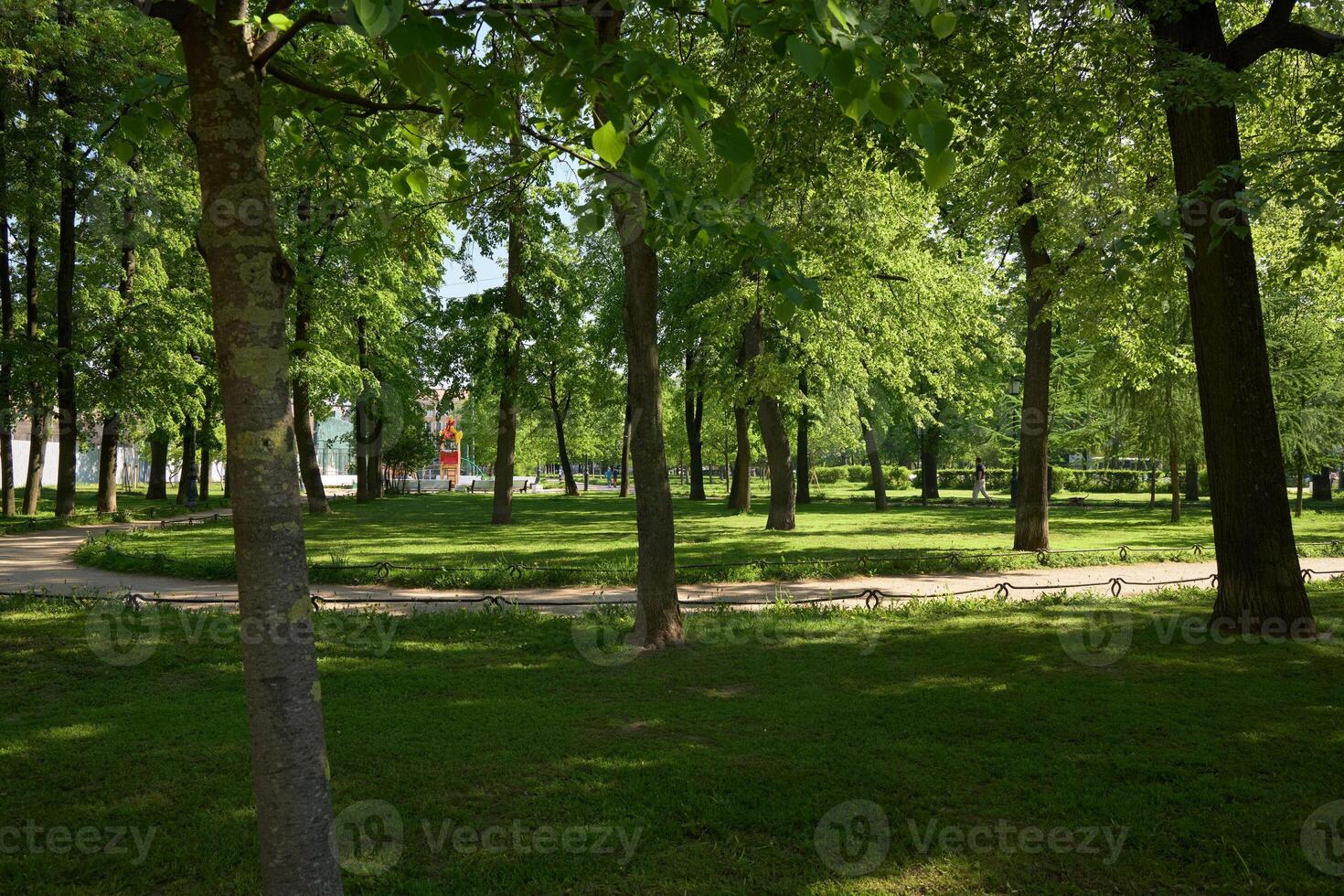 The Peaceful Green Park, with lush trees and winding paths, invites visitors to unwind photo