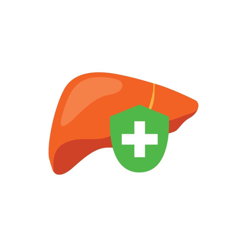 Hepatoprotector concept icon, healthy liver flat icon shield. Liver care guard icon vector