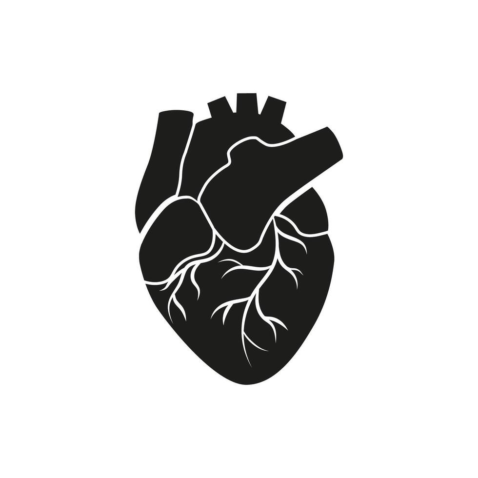 Black anatomical heart silhouette with white arteries in simple design vector