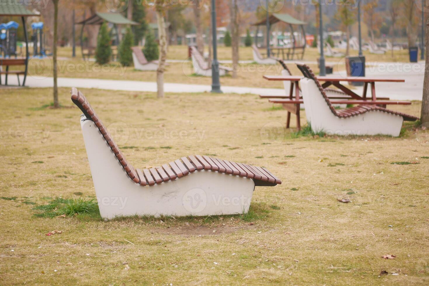 Relaxing seating areas in a serene park landscape photo