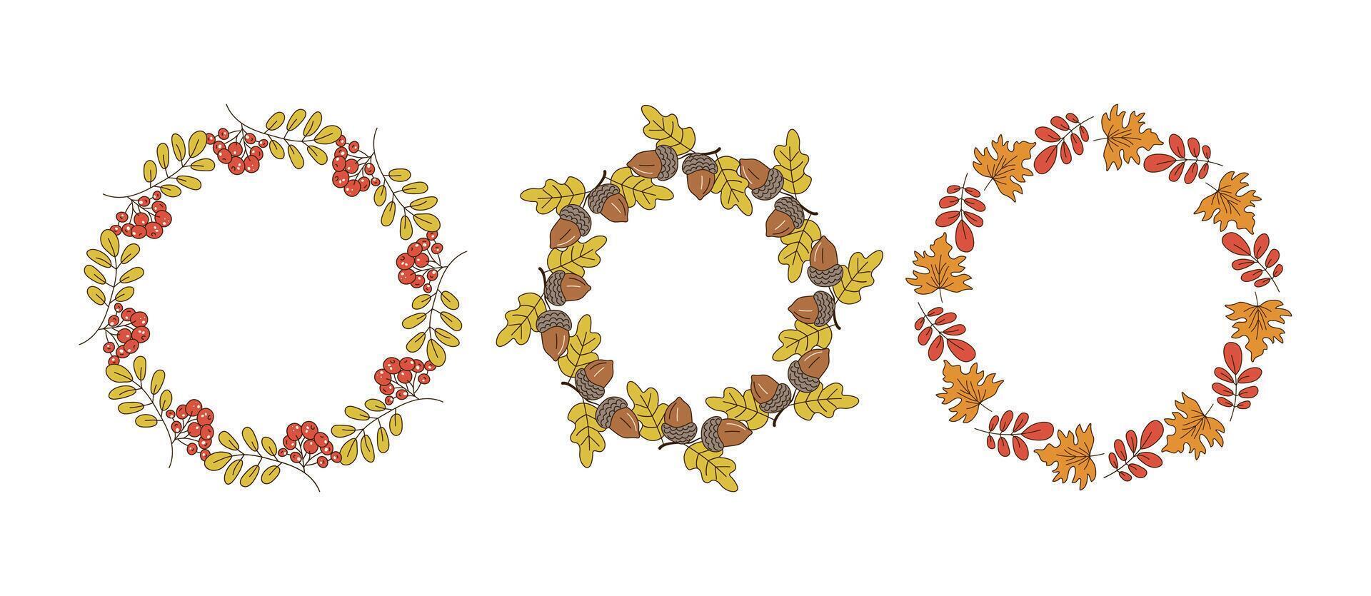 Round frame set, banner autumn. Leaves, acorns, berries, wreath, leaf fall, doodles, drawings. Natural botanical background. vector