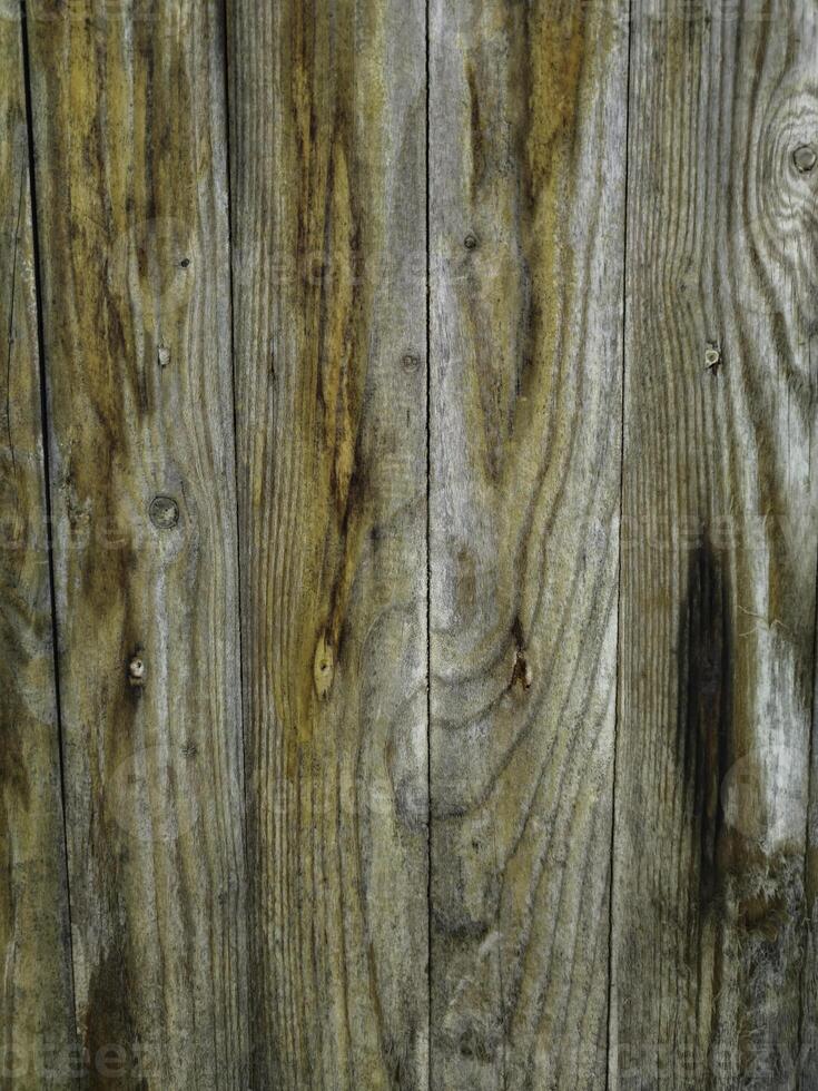 The planks are arranged vertically. photo