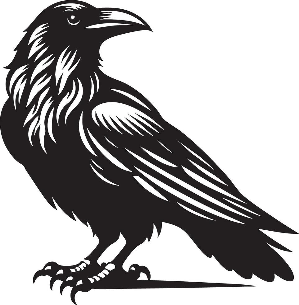 Majestic Black Raven Perched on White Background Symbol of Mystery and Intelligence vector