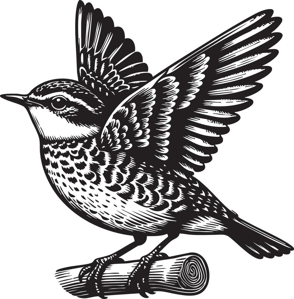Detailed Line Art Illustration of a Bird Perched on a Twig with Wings Spread vector