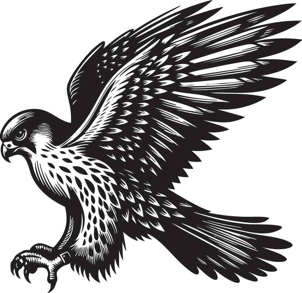 Majestic Falcon in Flight Artistic Black and White Illustration vector