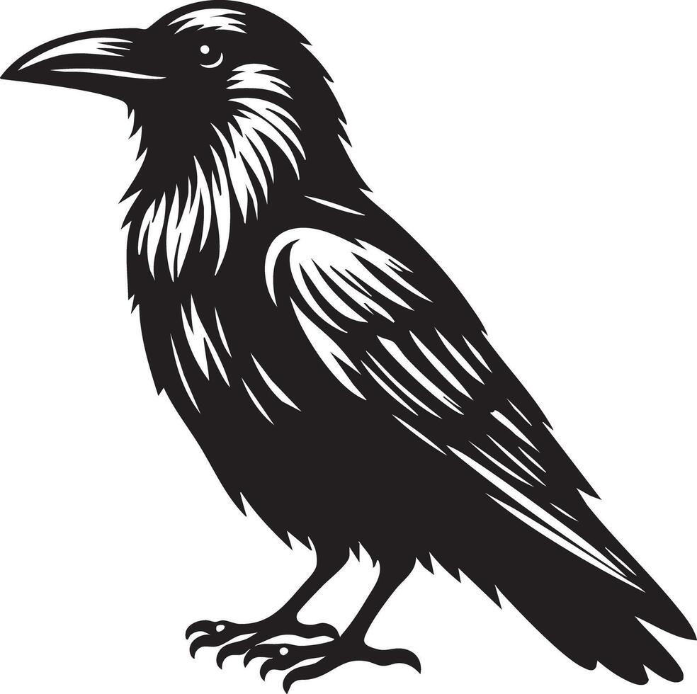 Artistic Stylized Black Raven Bird Silhouette Perched on a White Background vector