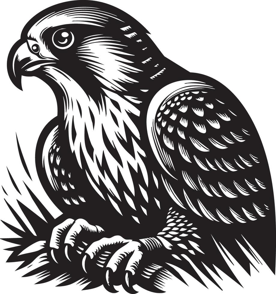 Striking Black and White Illustration of a Majestic Falcon Perched on a Branch vector