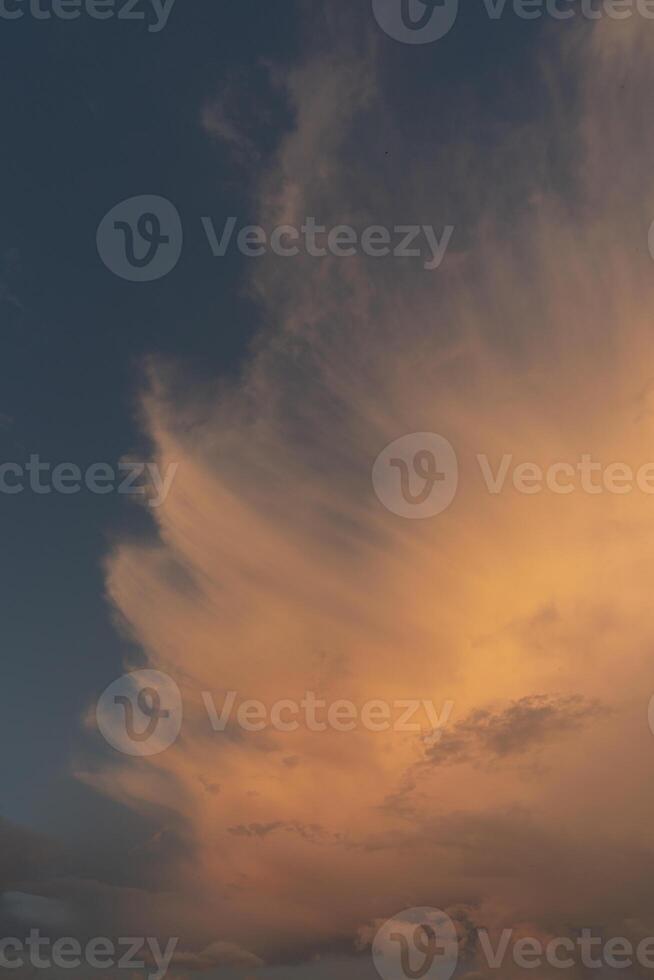 beautiful picture of clouds, feathery clouds in the light of the setting sun, fluffy cloud against the blue sky. photo