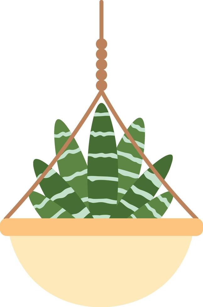 Vibrant green plant with striped leaves thrives in a hanging beige pot, suspended by a knotted rope, bringing a touch of nature indoors and enhancing the aesthetic appeal of a space vector