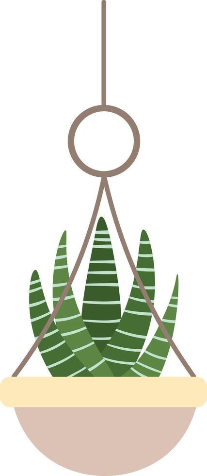 Minimalist illustration of a succulent plant with striped leaves in a hanging pot. The design features a simple, modern aesthetic perfect for home decor inspiration vector