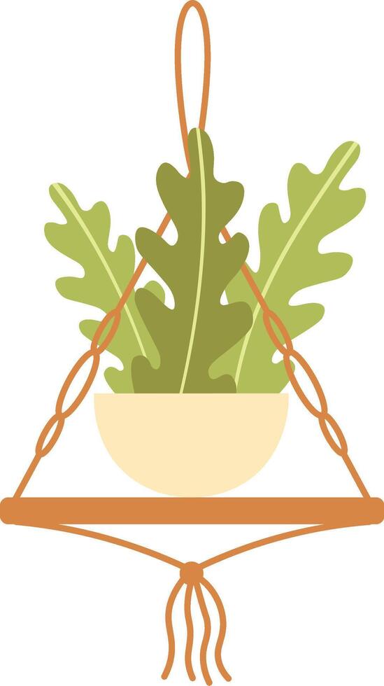 Macrame plant hanger holding a beige pot with a plant with large green leaves hanging from a thread, creating a cozy and stylish home decoration vector