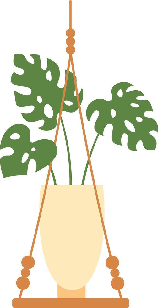 Monstera deliciosa plant hanging in a beige pot with macrame and wooden base, isolated on a white background, perfect for home decoration and bringing nature indoors vector