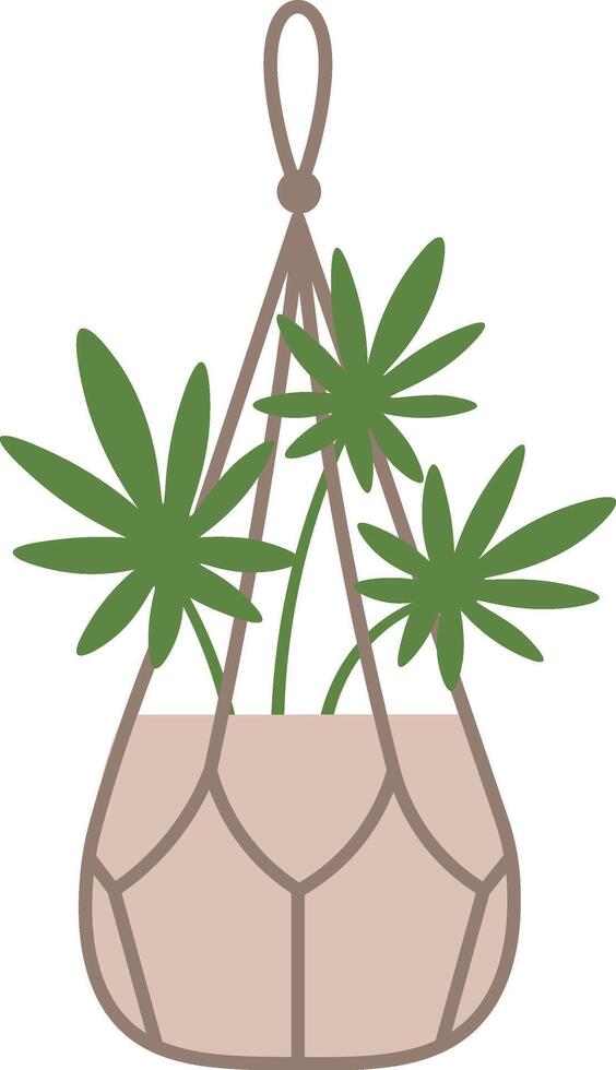 Stylish macrame plant hanger cradling a potted plant, infusing living spaces with bohemian charm and enhancing home decor with a touch of natural elegance vector