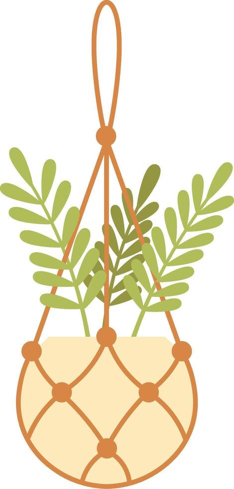 Decorative macrame plant hanger holding a small plant with green leaves, adding a touch of nature to interior design, promoting concepts of sustainability, handmade crafts, and home decoration vector