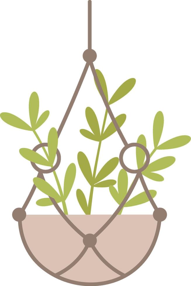 Macrame plant hanger showcasing a small green plant, enhancing home decor and bringing a refreshing touch of nature into any living space or room design vector