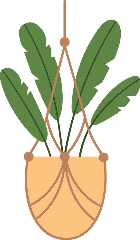 Lush green leaves cascading from a macrame plant hanger, adding a vibrant and stylish touch to modern home decor while enhancing the atmosphere of an inviting indoor space vector