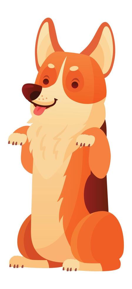 Cartoon welsh corgi pembroke sitting on hind legs, playfully sticking out its tongue, exuding happiness and charm, creating a delightful scene against a clean white background vector