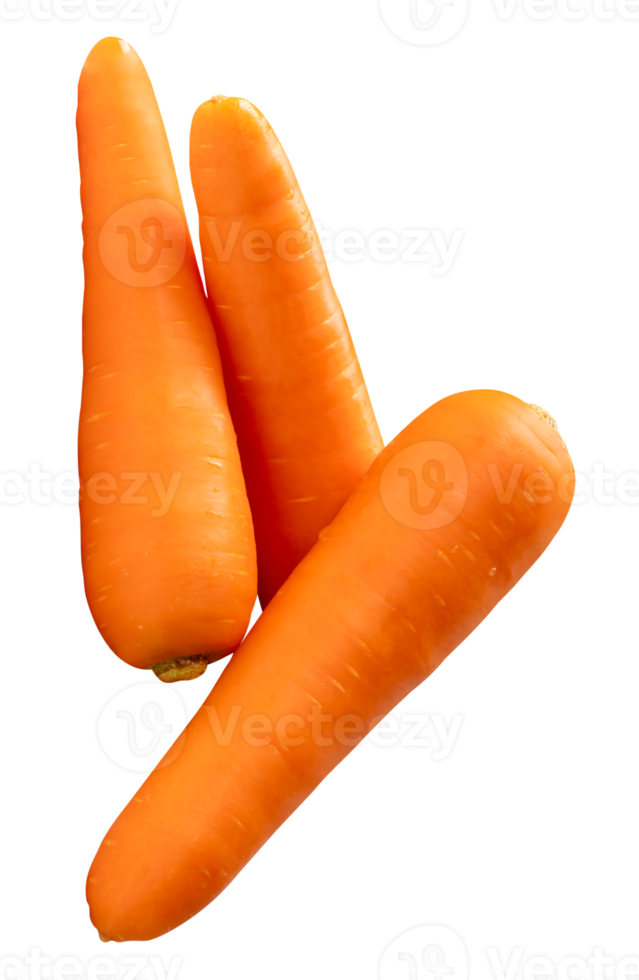 Three fresh orange carrot roots in strange stack isolated with clipping path in file format png