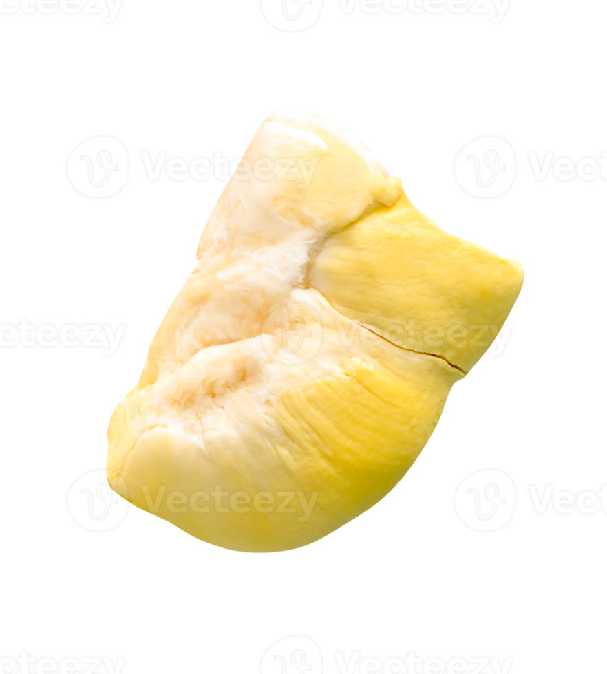 Yellow pulp of ripe durian fruit in stack without peel isolated with clipping path in file format png
