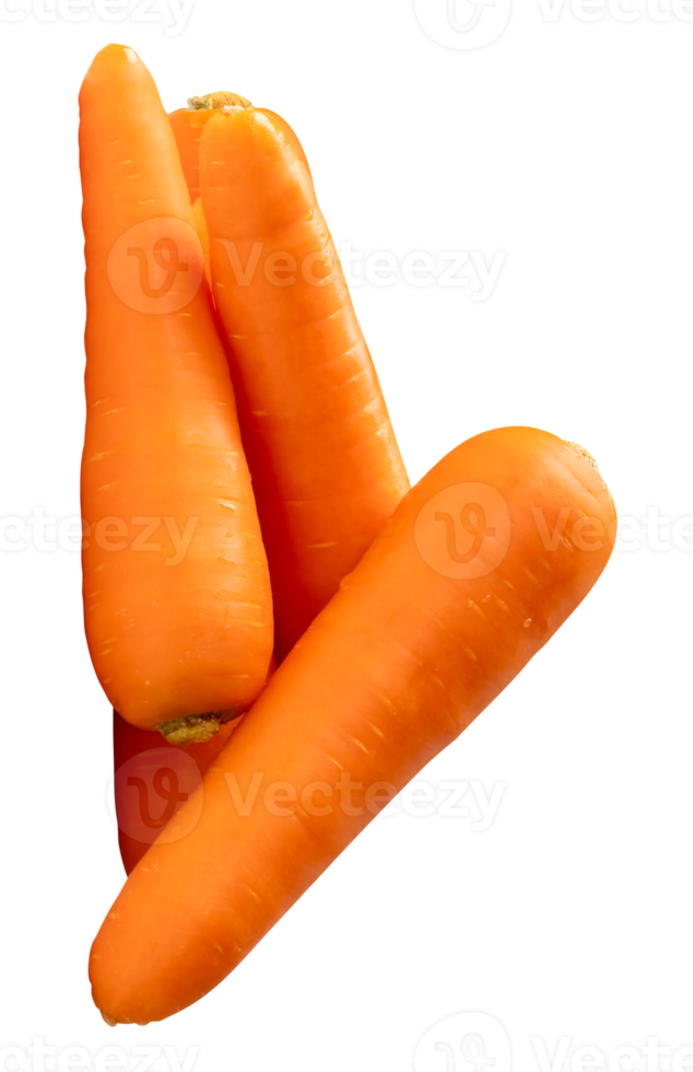 Four orange carrot roots in stack isolated with clipping path in file format png