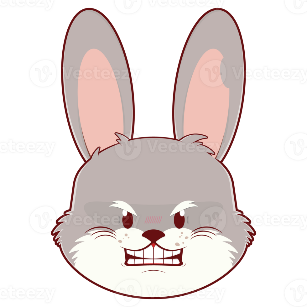 rabbit angry expression cartoon png