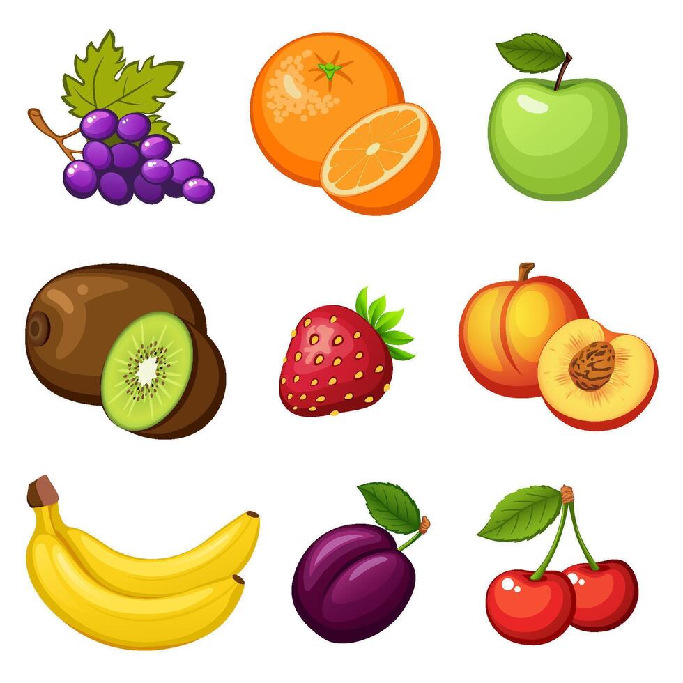 Colorful fresh fruits assortment vector