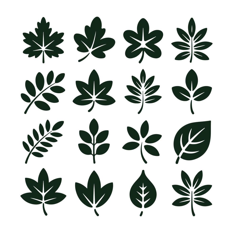 Collection of sixteen dark green leaf icons on white background leaves plant vector