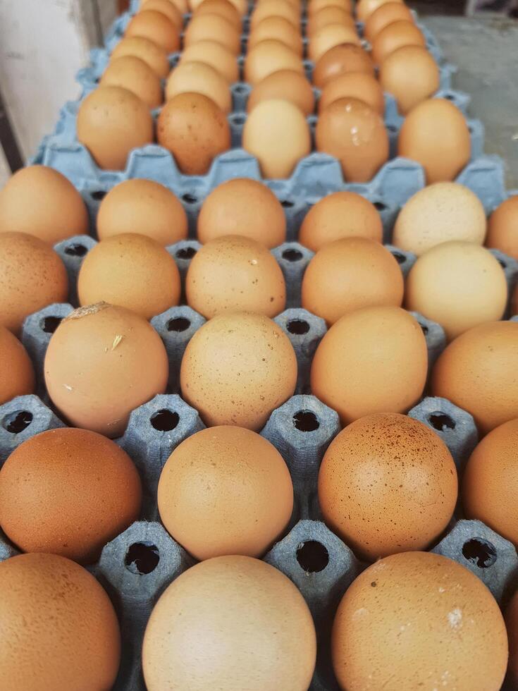 Chicken eggs are creatively arranged in an eye-catching pattern on a bright cartoon plate, highlighting their colorful designs and details. photo