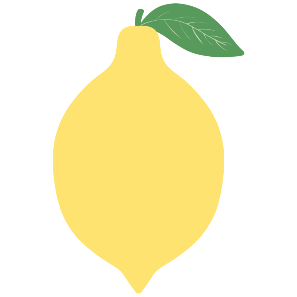 Lemon illustration with transparent background png