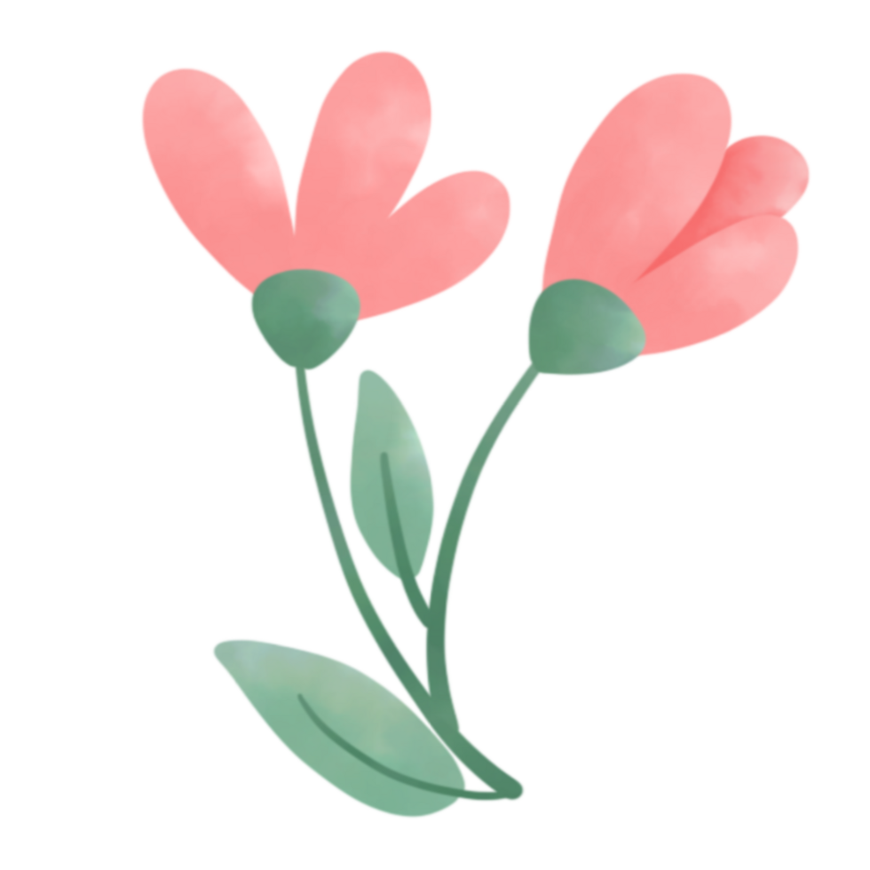 Floral watercolor clip art png