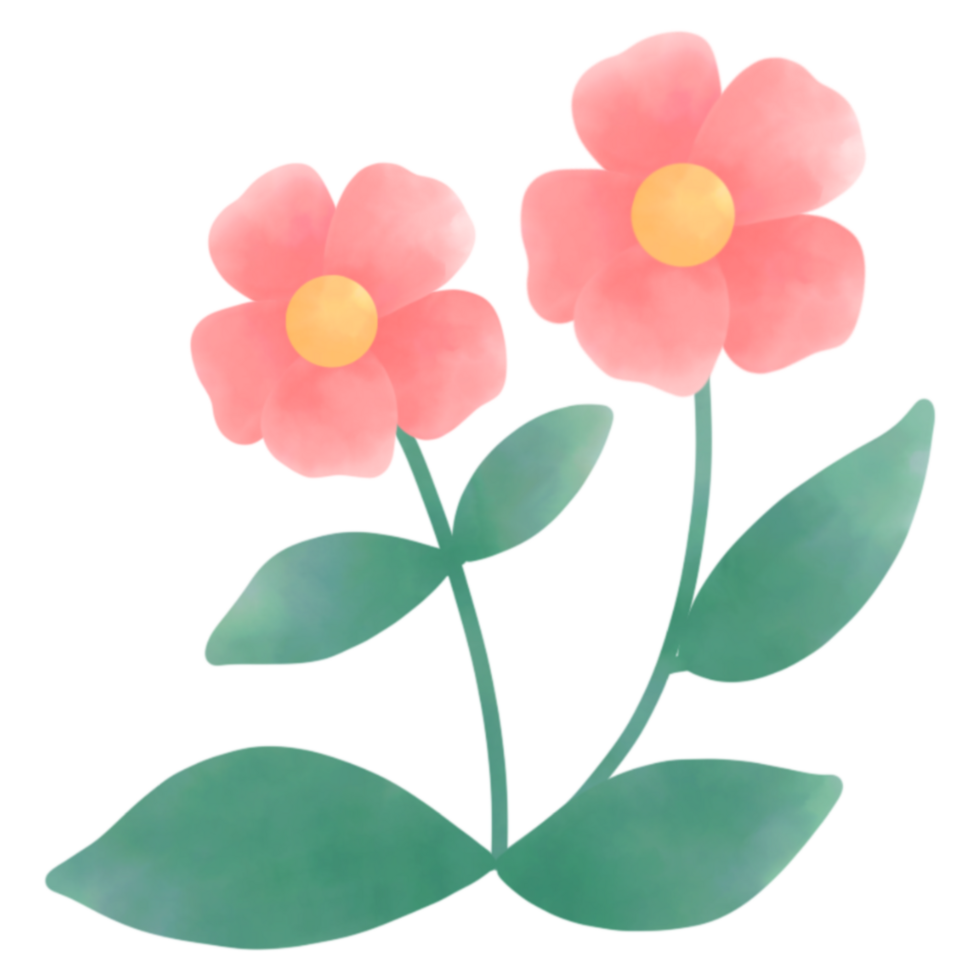 Two flowers with green leaf watercolor png