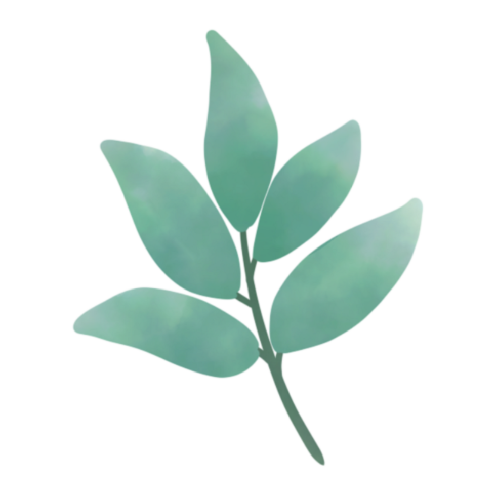 Green leaf clip art watercolor png