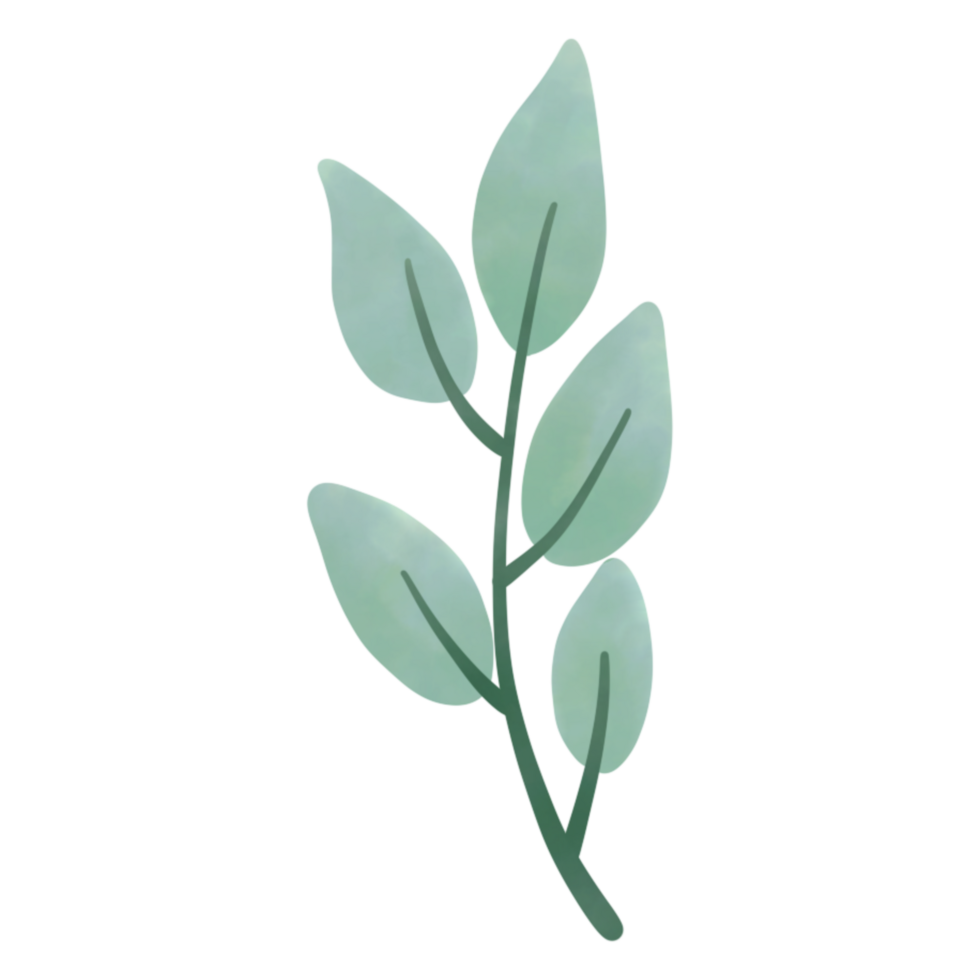 Green leaf watercolor clip art png