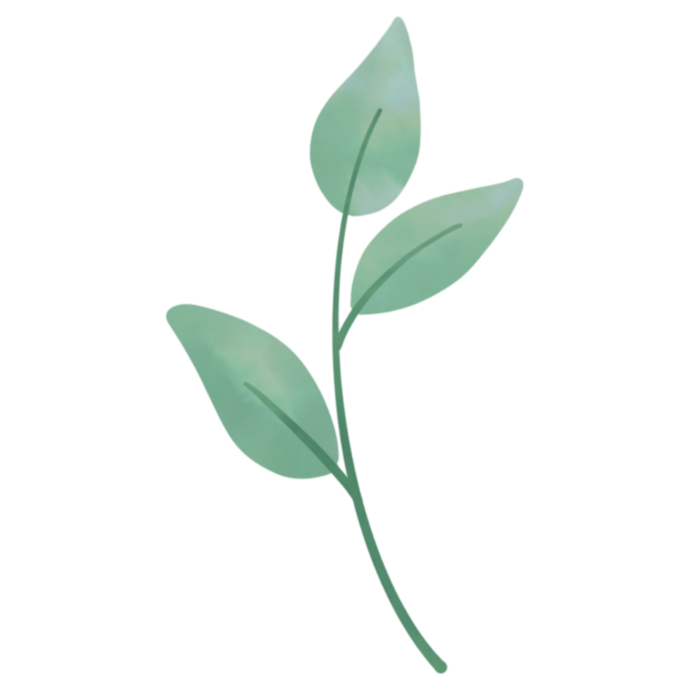 Leaf clip art watercolor png