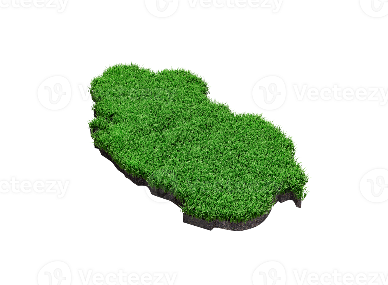 Qatar Map soil land geology section with green grass and Rock ground texture 3d illustration png