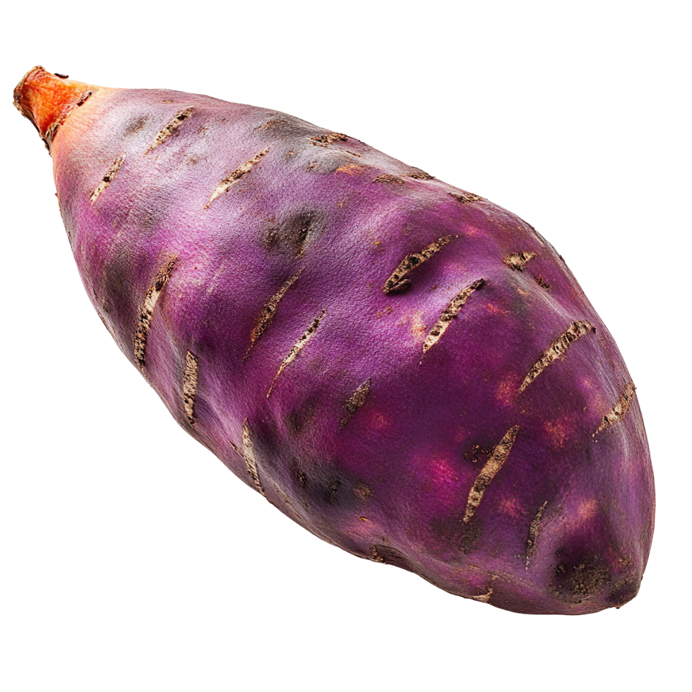 Fresh Whole Purple Sweet Potato with Natural Texture Isolated On Transparent Background png