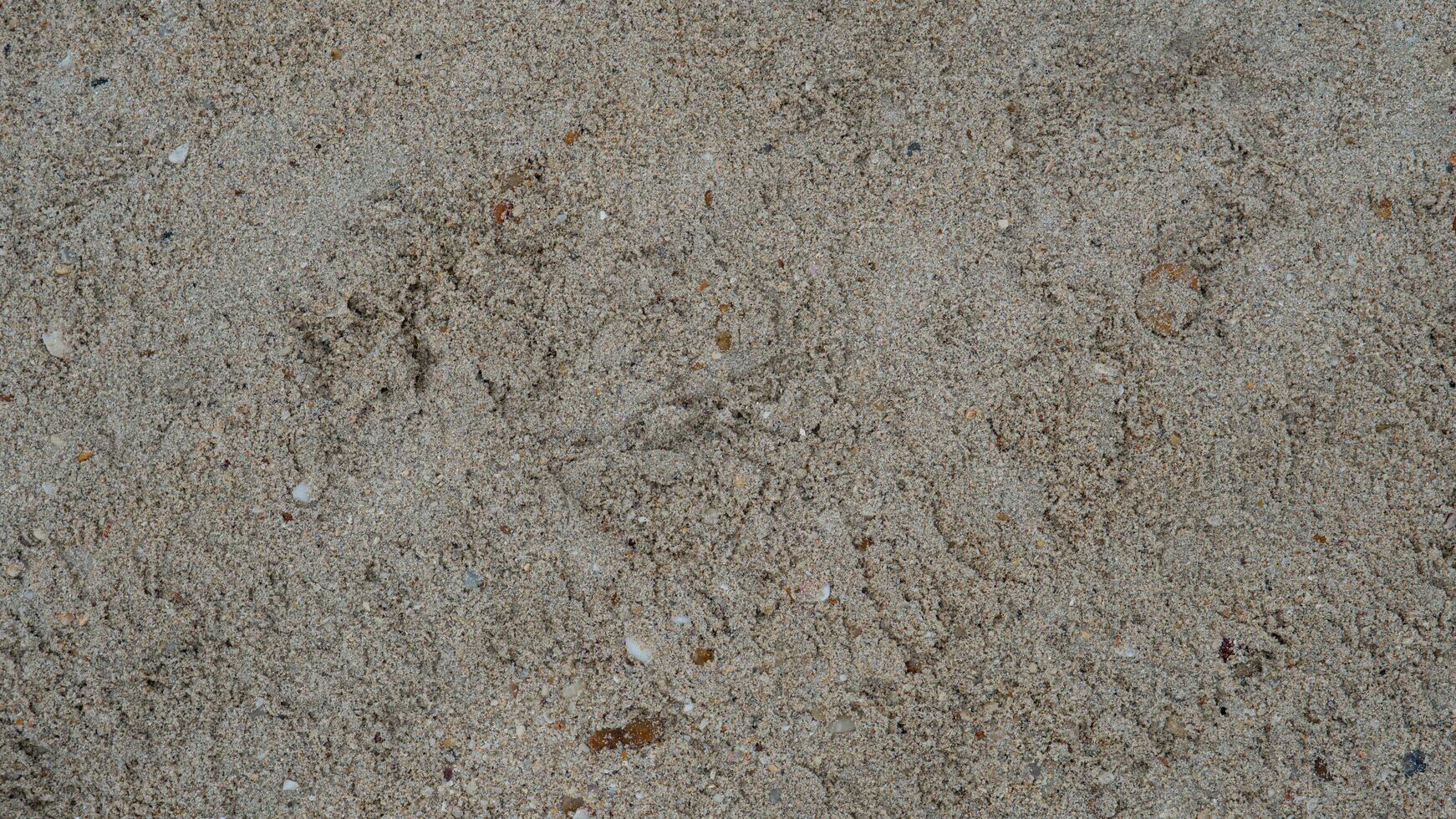 Meaningful sandstone slabs were smoothed out. for background and textured. photo
