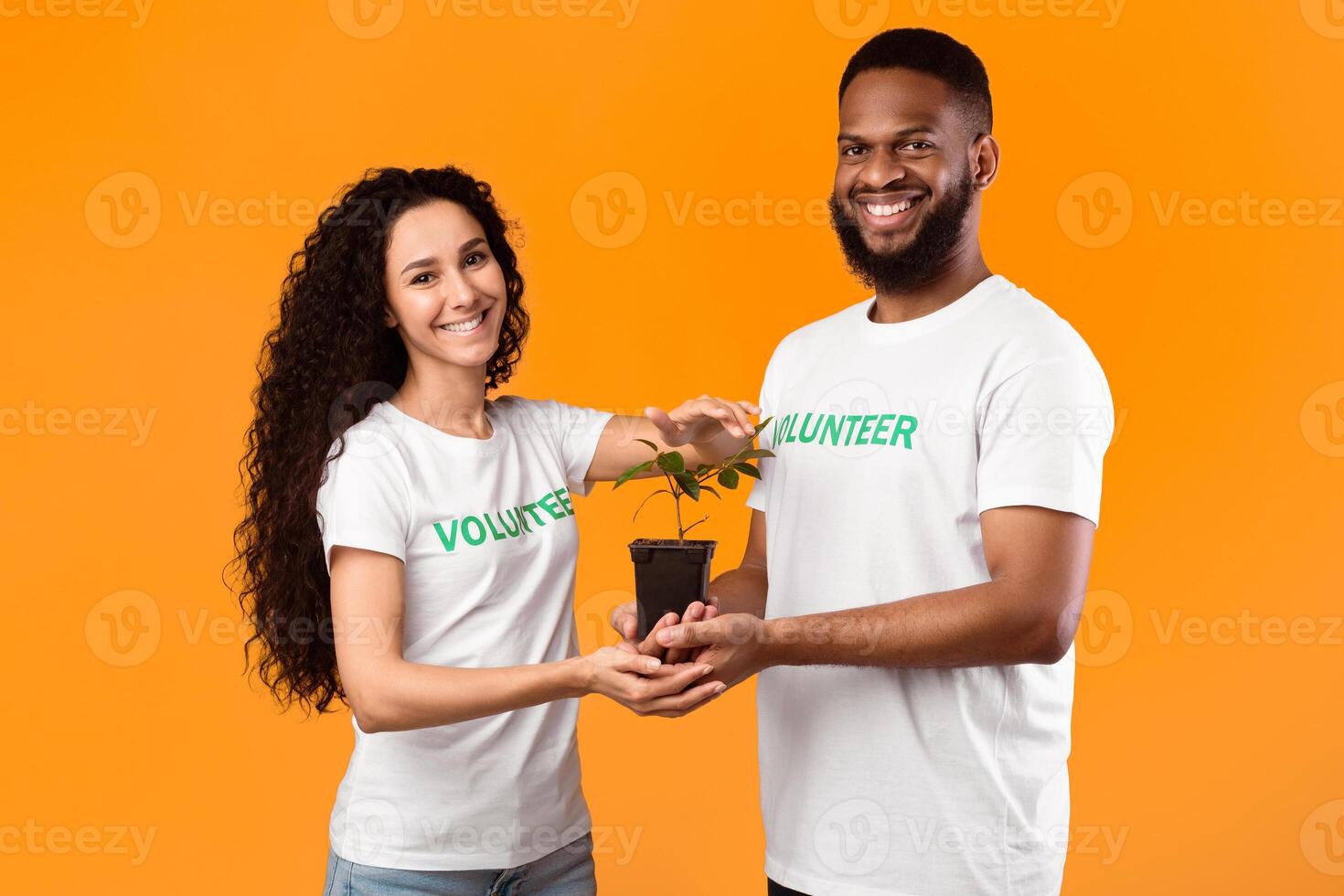 Two Multicultural Volunteers Holding Green Plant Growing In A Pot Standing Smiling To Camera Over Yellow Background In Studio. Volunteering Work, Environmental Protection And Ecological Advocacy photo