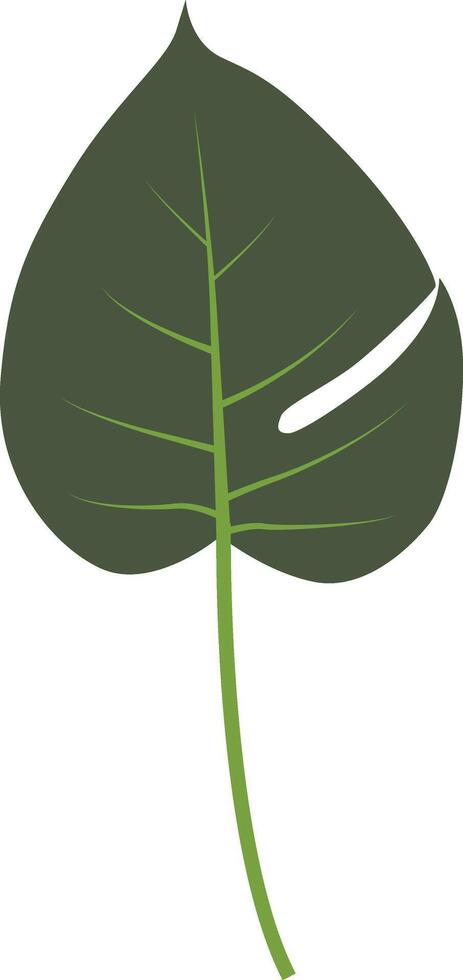 Exotic Green Tropical Leaves. Design Element vector